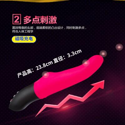 FunFactory神鬼战士史壮尼克上下往复式振动按摩棒（玫...